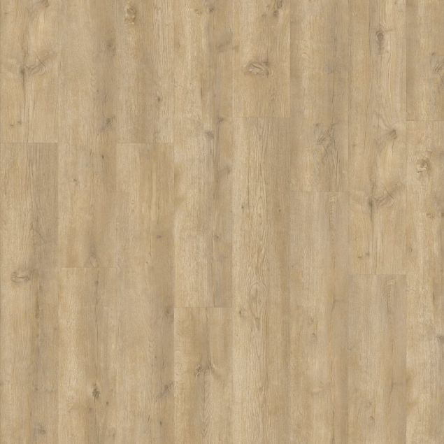 Montilla Planks - Bowie